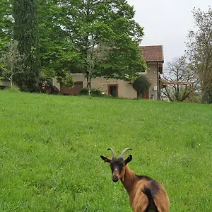 Appartamento Stirpe Nel Bosco - Fiocco, Montevettolini